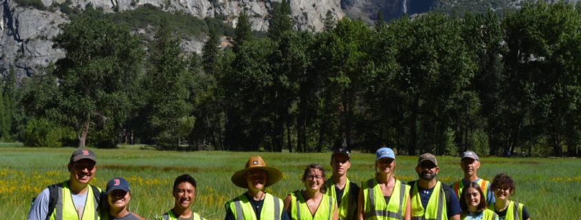 Yosemite Cleanup Event with BSK