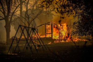 BSK Support for Wildfire Devastation